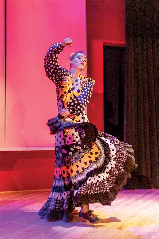 A dancer performing the Flamenco.