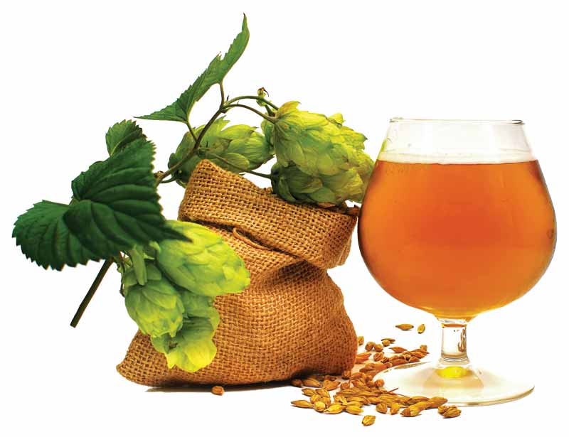 Sips & Suds of the Southwest