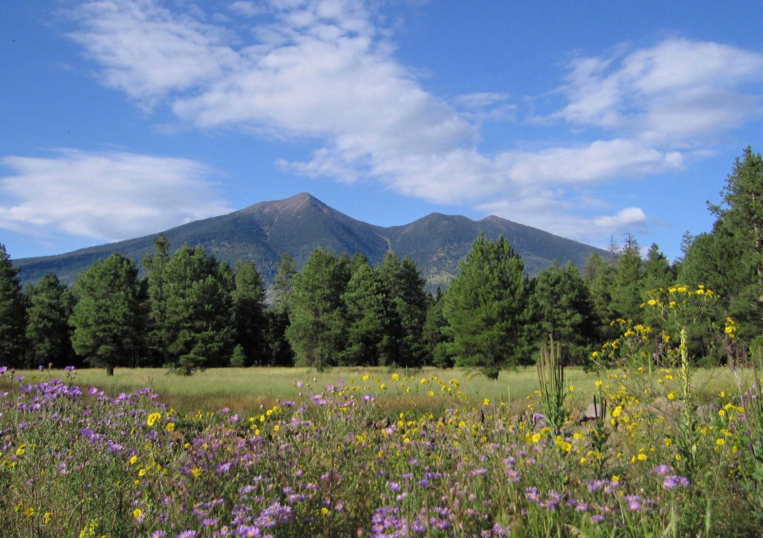 Flagstaff