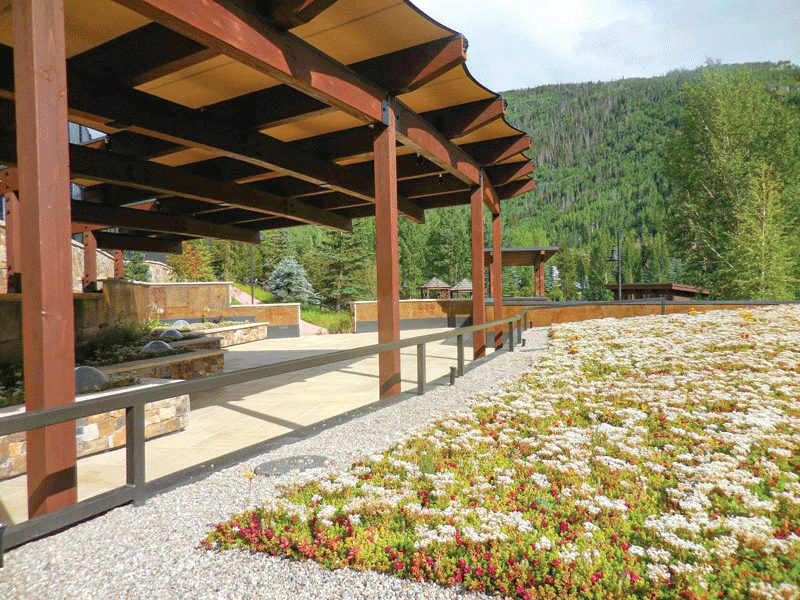 The patio and a garden