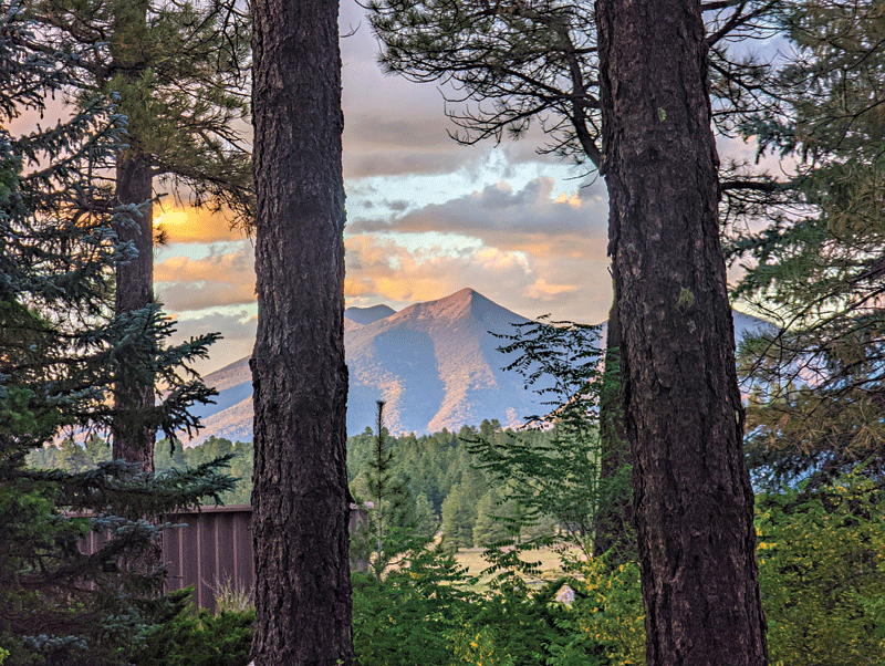 Trees in the foreground and mountains in the background.