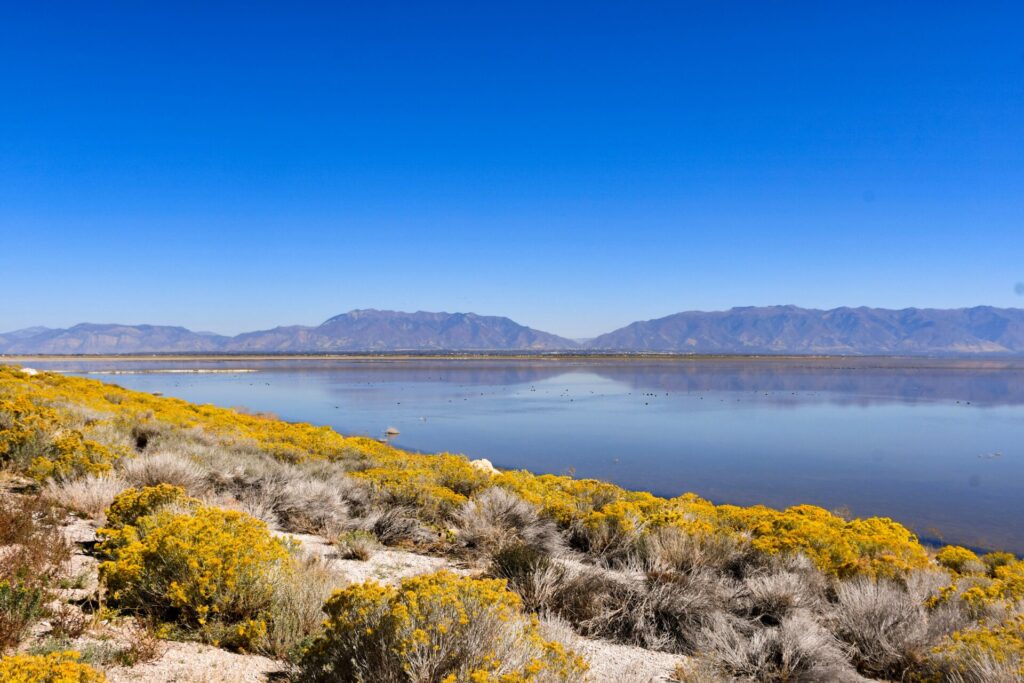 A view of Antelope Island. 