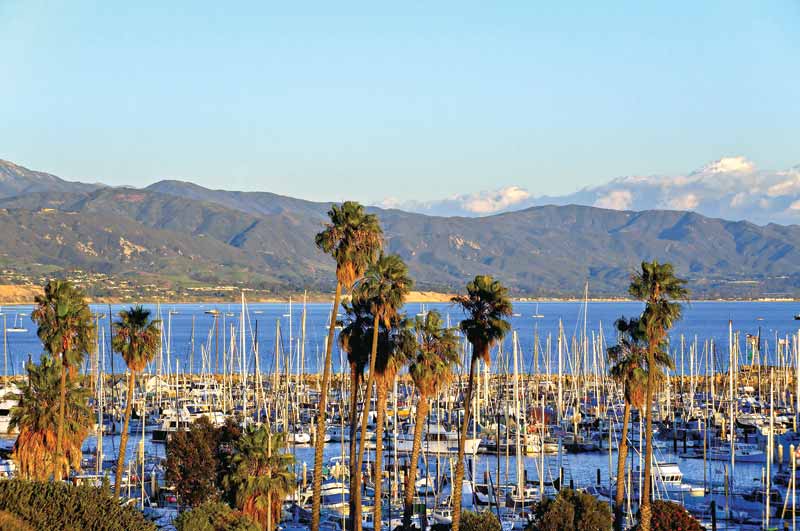 A dock with several catamarans and yachts.